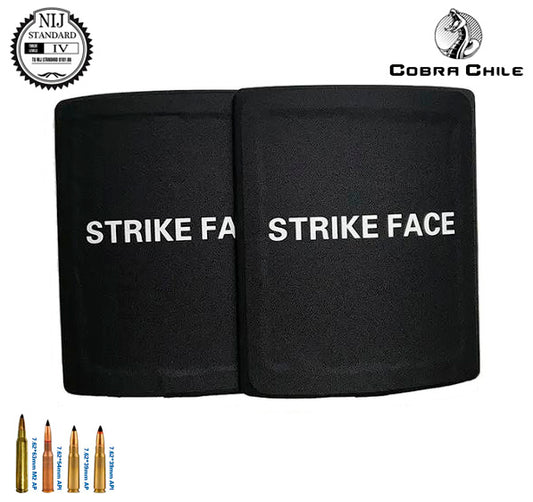 PLACA PROTECCIÓN NIVEL IV